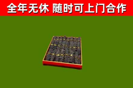 云岩区回收海参